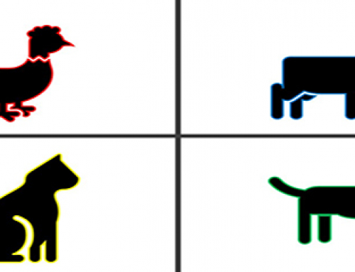 Unusual Animal and Pet Companies